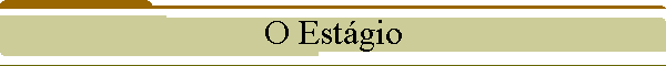 O Estgio
