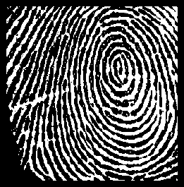 \includegraphics[scale=0.6]{roi.eps}