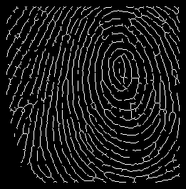 \includegraphics[scale=0.6]{skel.eps}