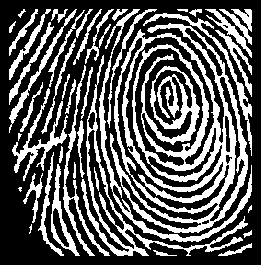 \includegraphics[scale=0.6]{areafilt.eps}