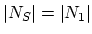 $\vert N_S\vert =
\vert N_1\vert$