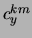 $c_{y}^{km}$