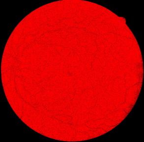 Image imagens/AndJ-l-red.jpg