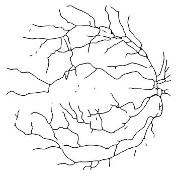 Image imagens/SadJ-r-class-trained-by-gmm-AndJ-l-skeleton.jpg