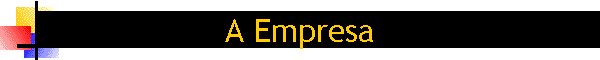 A Empresa