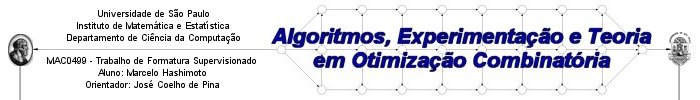 Algoritmos, Experimentao e Teoria em Otimizao Combinatria